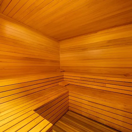 Exclusive Mogons קלקן